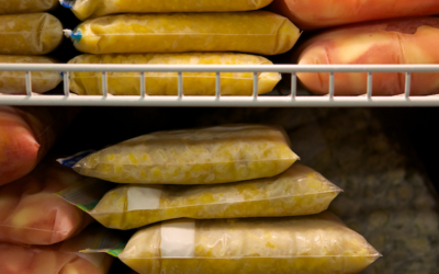 5 Reasons Why You Need a Blast Chiller