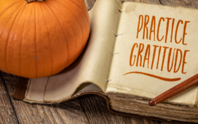 On This Thanksgiving, a Message of Gratitude from High Sabatino